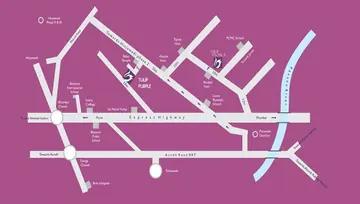 Location of Tulip Purple - Image 115934