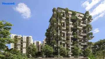 Project Image of Mana Foresta - Image 201153