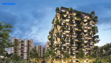 Project Image of Mana Foresta - Image 201154