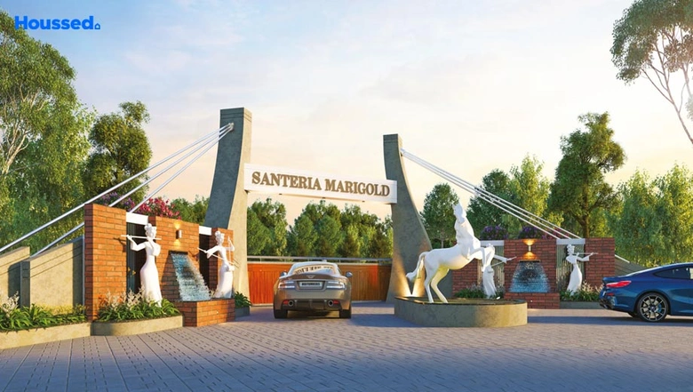 Project Image of Santeria Marigold in Masma, Surat - Image 203865