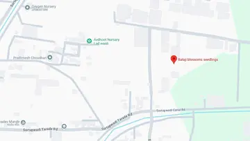 Location of Shree Balaji Blossom - Image 207629