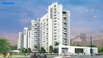 Project Image of Sharada Paritosh - Image 214758