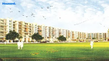 Project Image of Pate Surajya - Image 216570