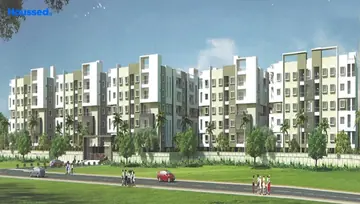 Project Image of Divine Allura - Image 218751