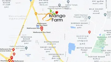 Location of Double T Mango Farm - Image 219820