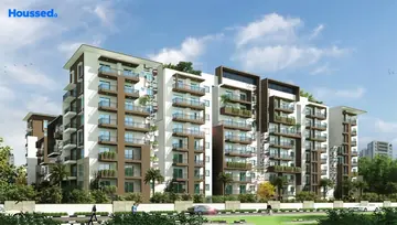 Project Image of Estella Maple Square - Image 221160