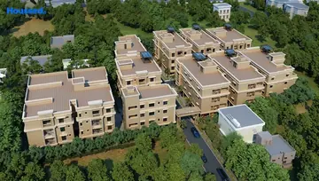 Project Image of Viva Vibrant - Image 221823