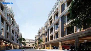 Project Image of Viva Vibrant - Image 221821