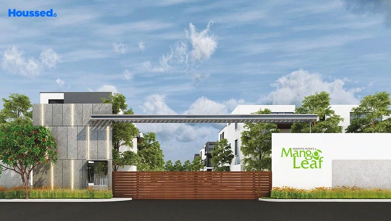 Project Image of Kakatiya Mango Leaf in Kollur, Hyderabad - Image 222910