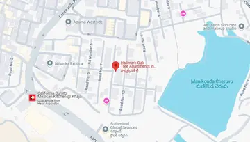 Location of Hallmark Maple Tree - Image 226215