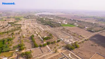 Project Image of Indis Sprindale - Image 317291