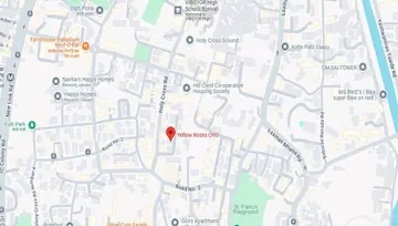 Location of Navkar Yellow Rose - Image 273423