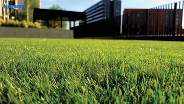 Amenities of Agarwal Floesta Oak - Image 32409