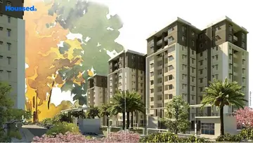 Project Image of Provident The Tree - Image 230849
