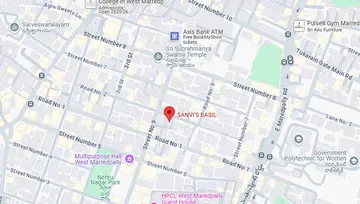 Location of Sanvi S Basil - Image 236749