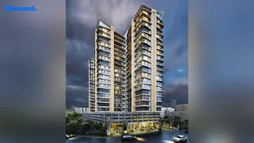Project Image of Joy Legend - Image 327487