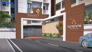 Project Image of Icon Sunshine Tansy - Image 240742
