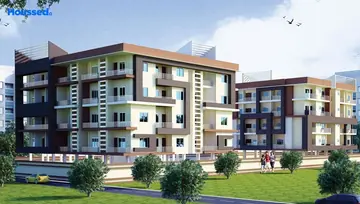 Project Image of Nk Palm - Image 261236