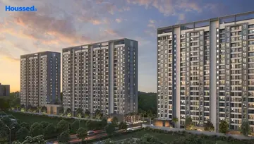 Project Image of Sahyadri Plumeria - Image 121641