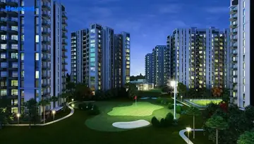 Project Image of Silverglades Melia First Citizen - Image 237799
