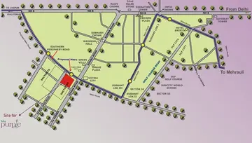 Location of Tulip Purple - Image 238000