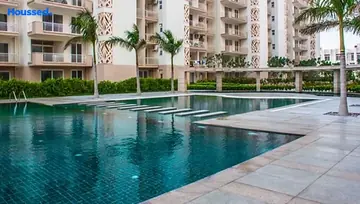 Amenities of Tulip Ivory - Image 238269