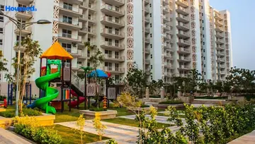 Amenities of Tulip Ivory - Image 238270