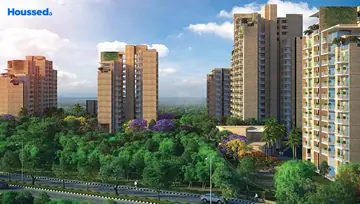 Project Image of CHD Vann - Image 236292