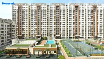 Project Image of Neelsidhi Amarante - Image 252094