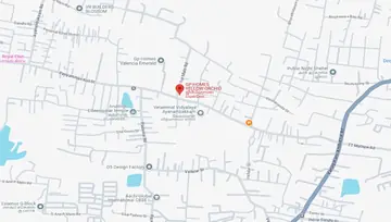Location of GP Yellow Orchid - Image 237125