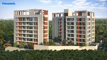 Project Image of Tejraj Panchadri - Image 349580