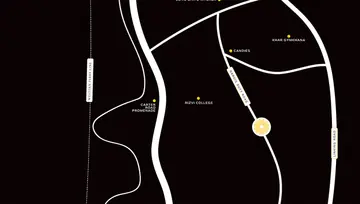 Location of Prestige Daffodils - Image 299345