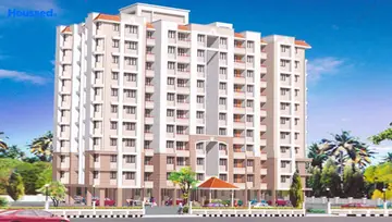 Project Image of Skyline Marigold - Image 245821