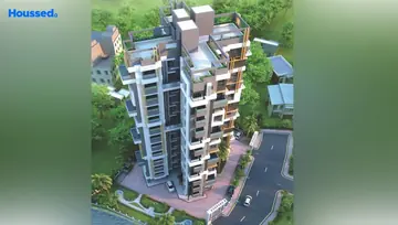 Project Image of Aspirations Orchid - Image 235977