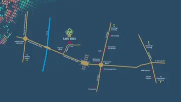 Location of PS Rain Tree - Image 239726