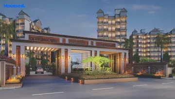 Project Image of Today Belantara - Image 258270