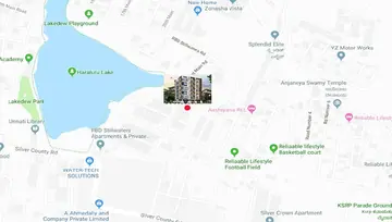 Location of MK Squirrel Oak - Image 125133