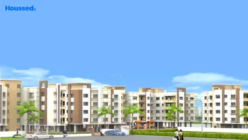 Project Image of GM Meena Wood - Image 242014