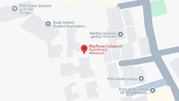 Location of Mayflower Caladium - Image 234369