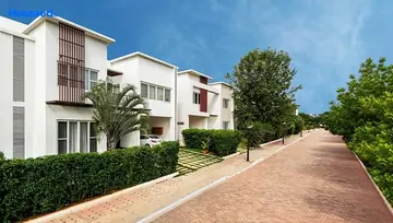 Project Image of Century Wintersun - Image 126805