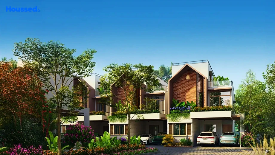 Project Image of MIMS Oakdale - Image 415835