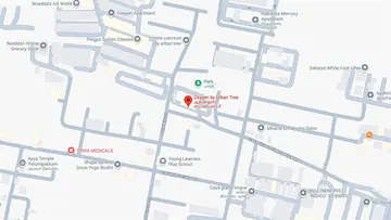 Location of Urban Tree Oxygen - Image 330628