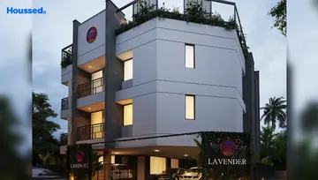 Project Image of Sreerosh Lavender - Image 285283
