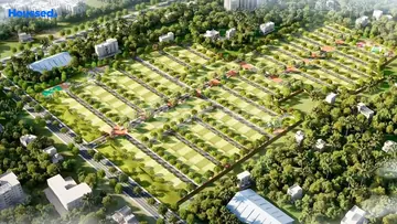 Project Image of KG Kingdom Of Joy - Image 325277