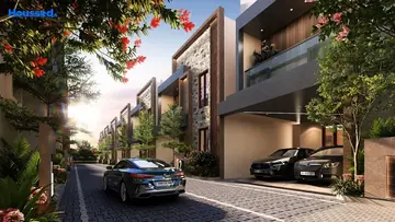 Project Image of Saradeuz Encanto - Image 334781