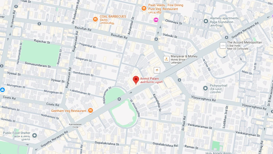 Location of Anmol Palani in T Nagar, Chennai - Image 366334