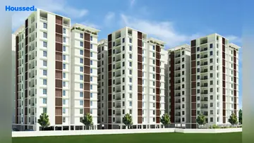 Project Image of Radiance Shine - Image 343016