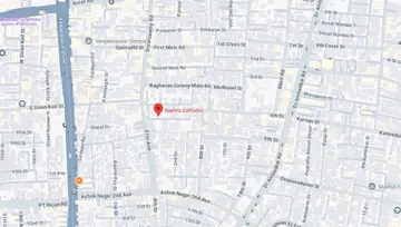 Location of Navins Daffodils - Image 257076