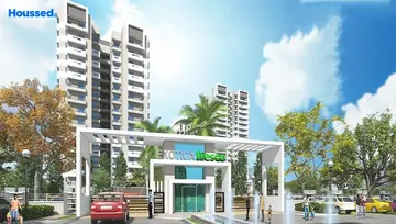 Project Image of Exotica Fresco - Image 234348