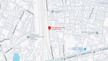 Location of Martin Chlorophyll Garden - Image 257727